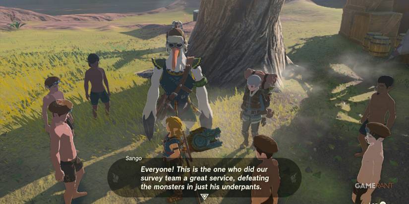 loz totk for our princess side adventure 2