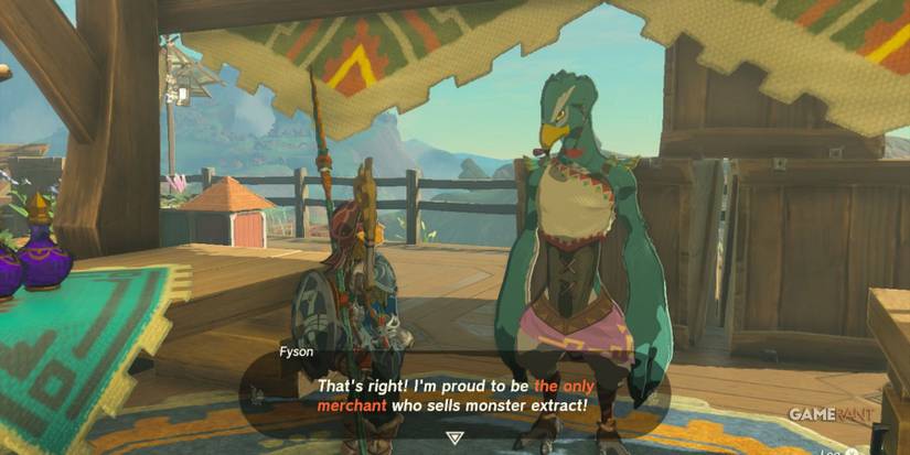 loz totk tarrey town slippery falcon general store