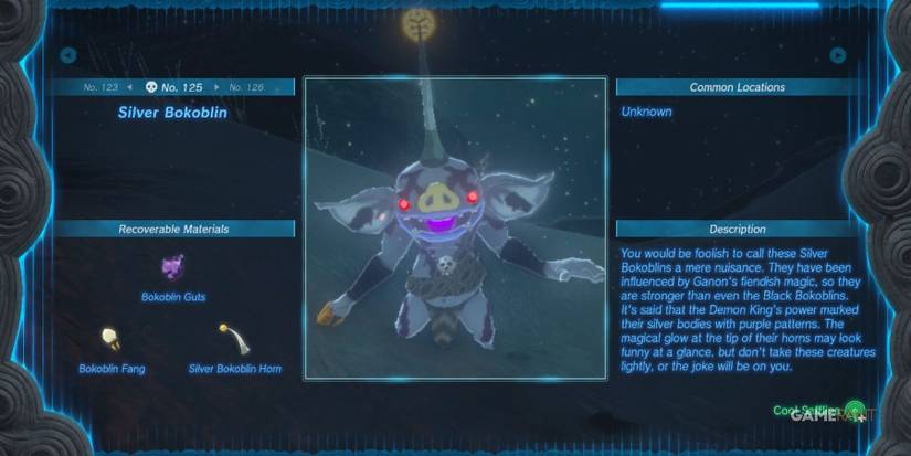 loz totk silver bokoblin