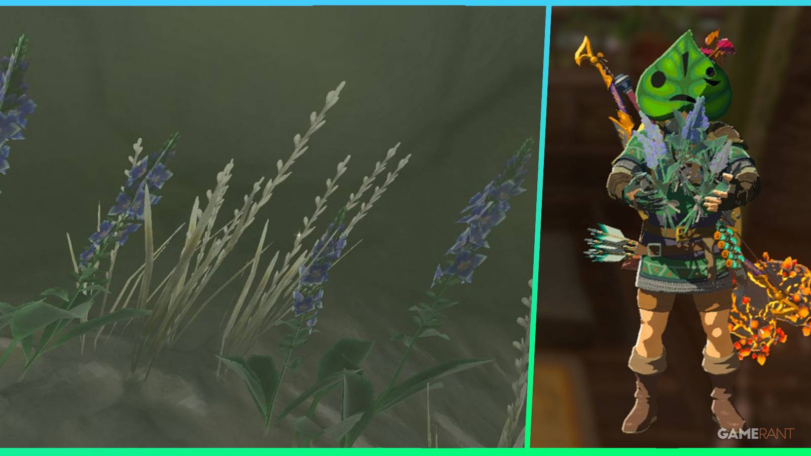 loz totk cool safflina feature