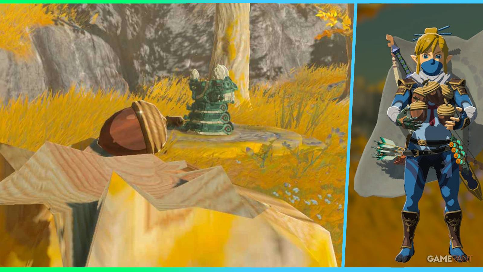 loz totk how to farm acorns feature