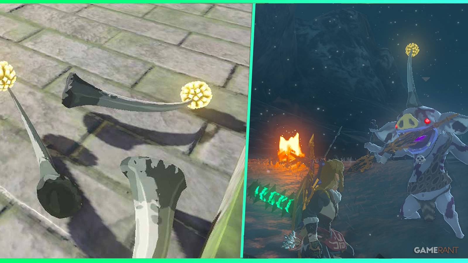 loz totk silver bokoblin horn feature