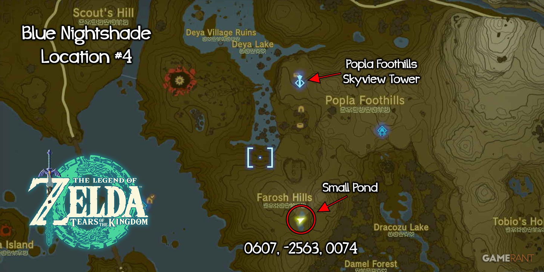 The Ultimate Guide to Finding Blue Nightshade in Zelda: Tears of the Kingdom