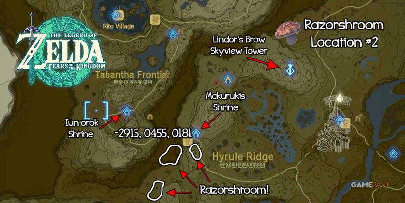 Razorshroom farming location in Zelda: Tears of the Kingdom.