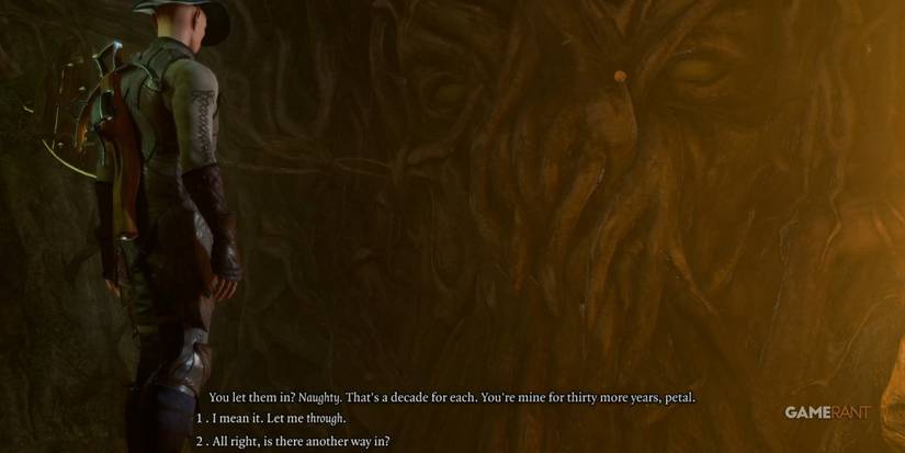 Baldur's Gate 3 Confrontation With The Gnarled Door