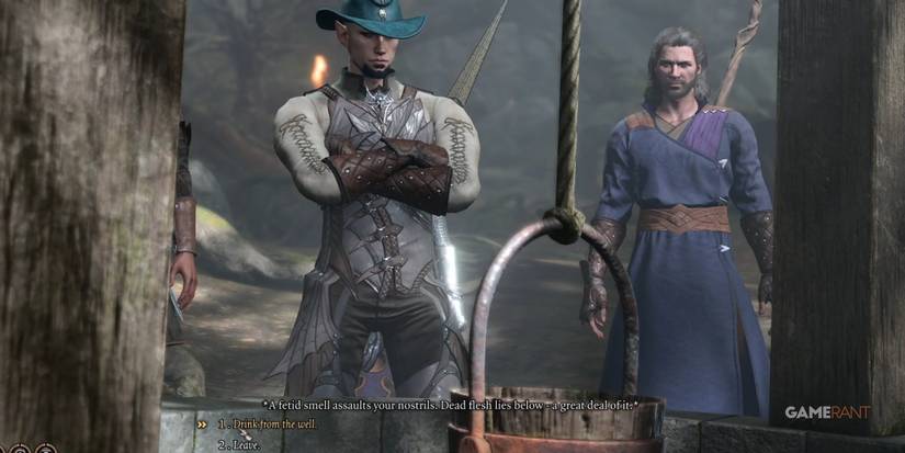 Baldur's Gate 3 Drinking From The Well Choice