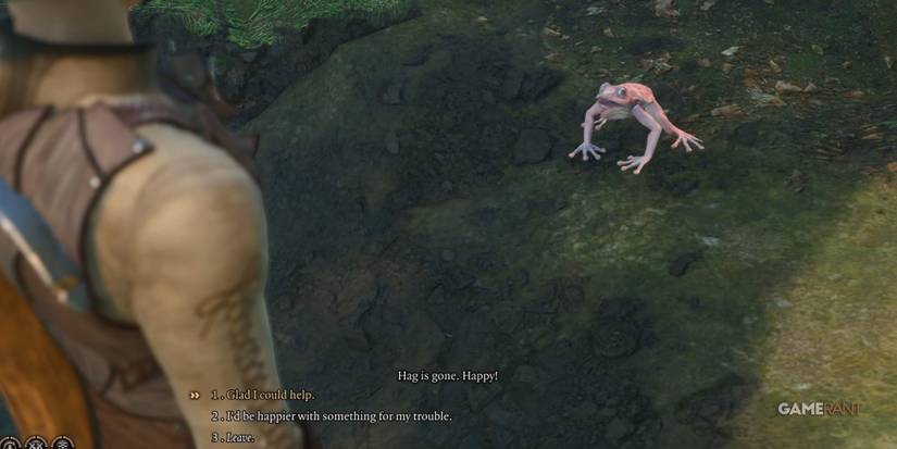 Baldur's Gate 3 Helping The Addled Frog