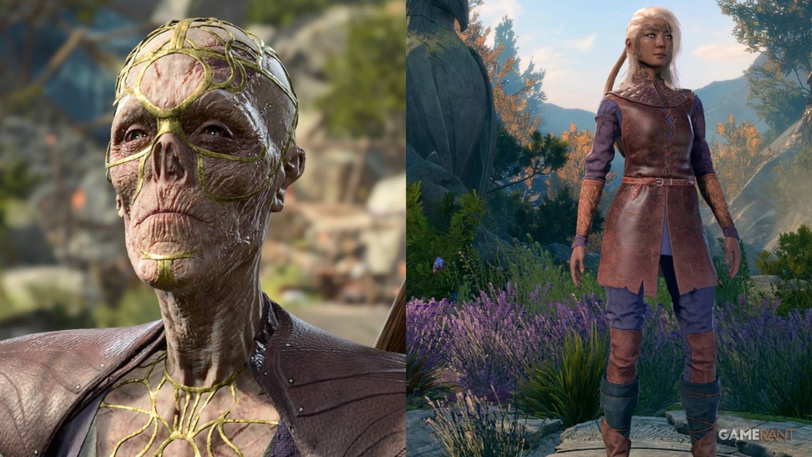 Baldur's Gate 3 Hiring New Party Members Collage