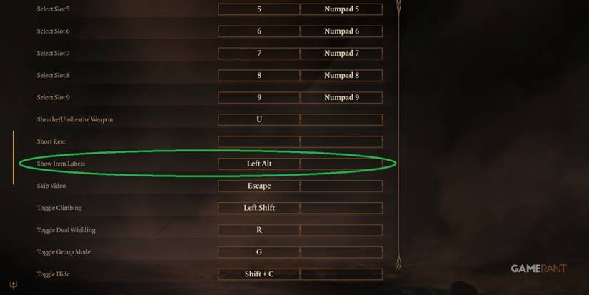 Baldur's Gate 3 How To Hightlight Items Button