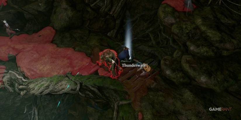 Baldur's Gate 3 Killing Auntie Ethel Instantly With Thunderwave