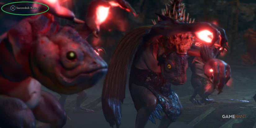 Baldur's Gate 3 Nature Check Succeeding When Meeting the Kuo-Toa