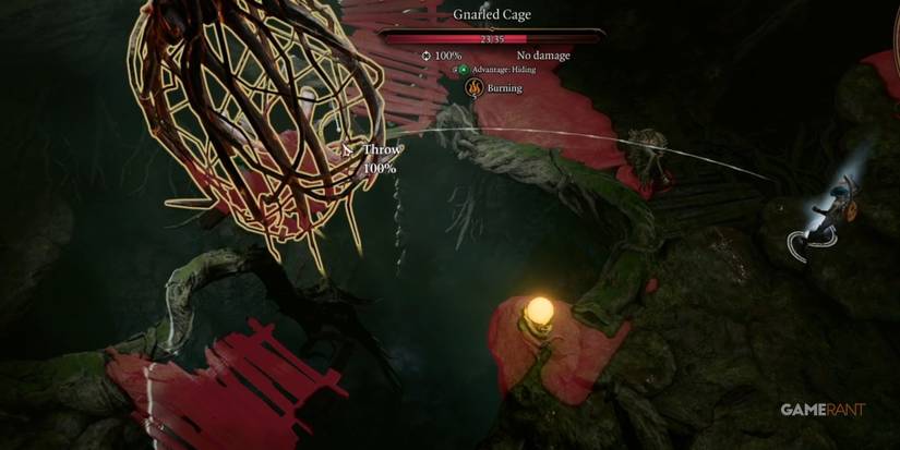 Baldur's Gate 3 Throwing Water On Mayrina's Flaming Cage