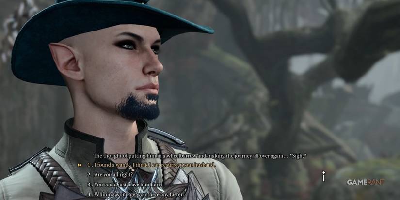 Baldur's Gate 3 Using The Wand To Bring Mayrina's Husband Back