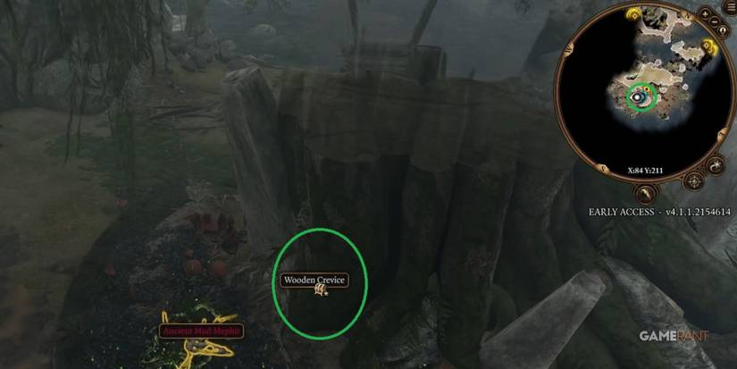 Baldur's Gate 3 Wooden Crevice Location In Sunlit Wetlands