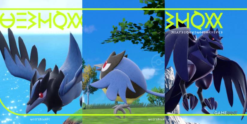 rookidee corvisquire corviknight pokemon scarlet violet