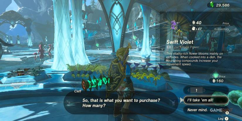 loz totk swift violet zora's domain