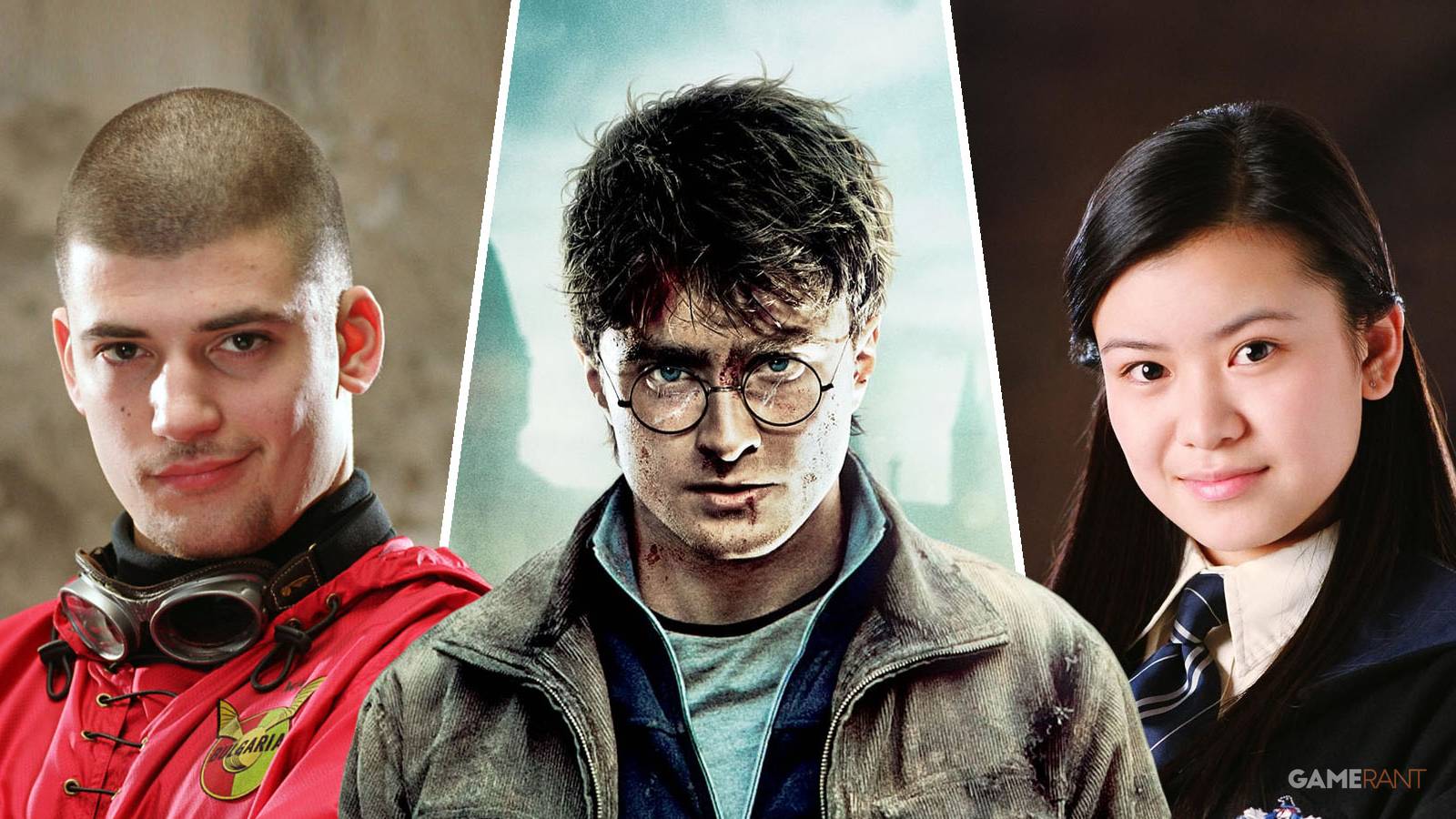 Viktor Krum, Harry Potter, and Cho Chang