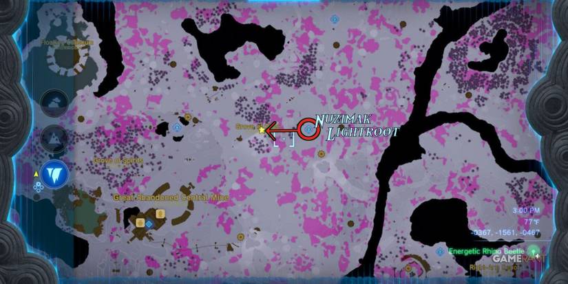 loz totk deep fireflies grove of time