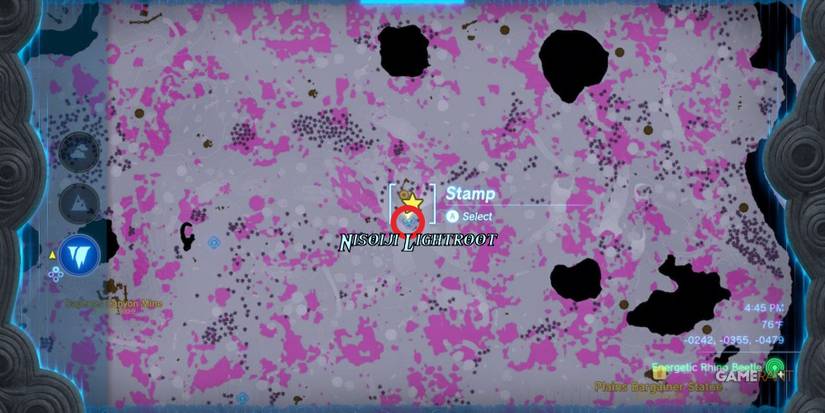 loz totk deep fireflies nisoiji lightroot