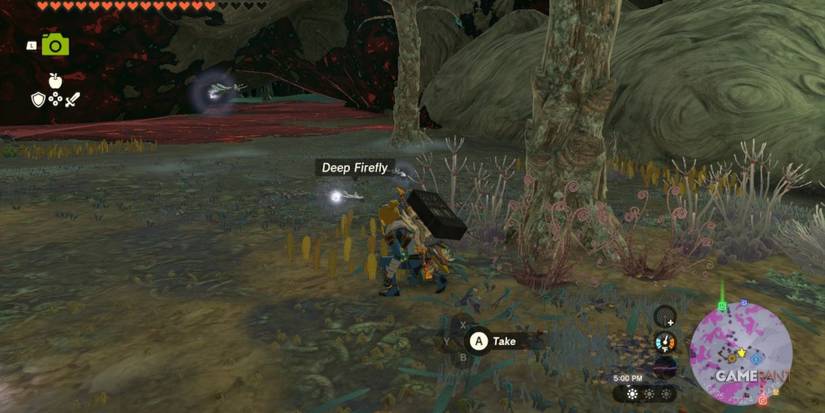 loz totk deep firefly depths