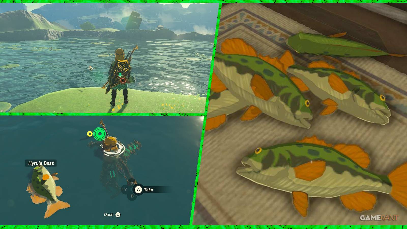 loz totk hyrule bass feature