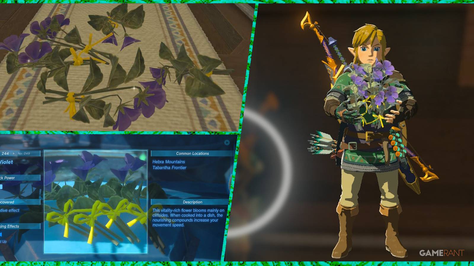 loz totk swift violets feature