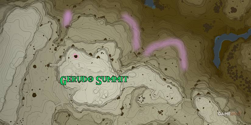 loz totk swift violets gerudo highlands