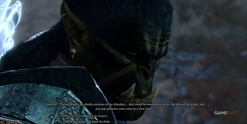 Baldur's Gate 3 Harpers Or Guide Choice