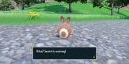 Sentret Evolution Chart Pokemon Scarlet And Violet How To Evolve