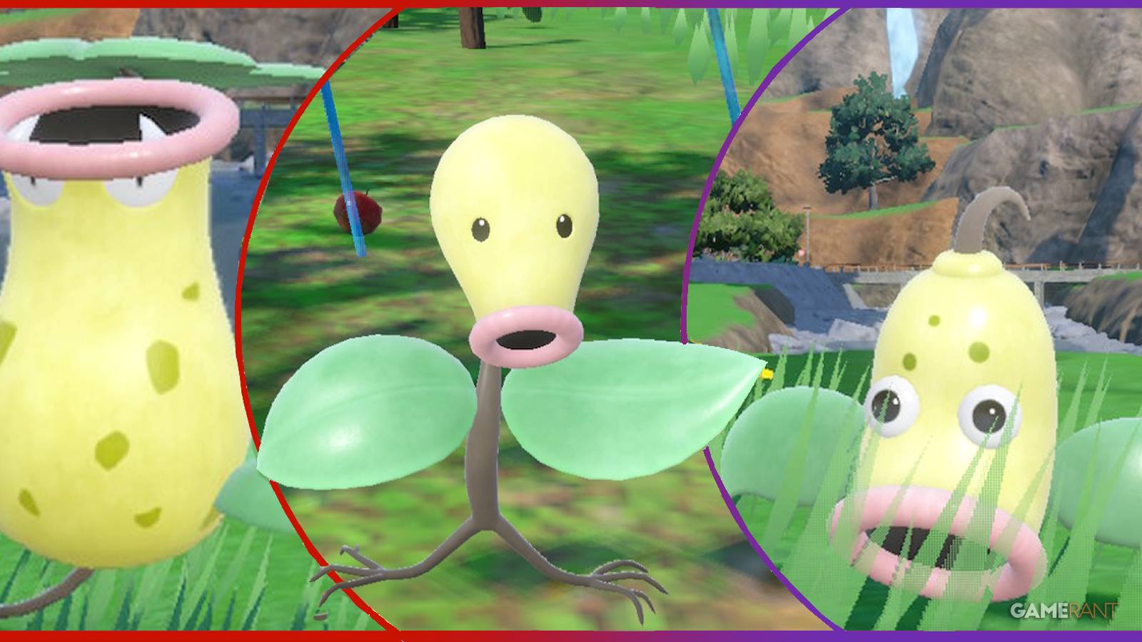 pokemon scarlet violet how to get bellsprout feature