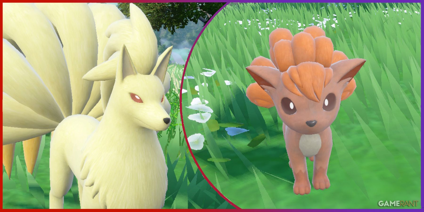 Pokemon Scarlet & Violet: How to Evolve Vulpix into Ninetails