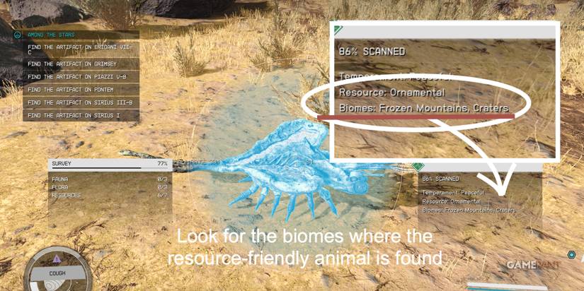 Starfield-Ornamental-Scan-Overview-Full