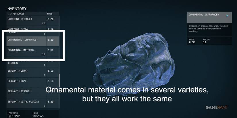 Starfield-Ornamental-Variety