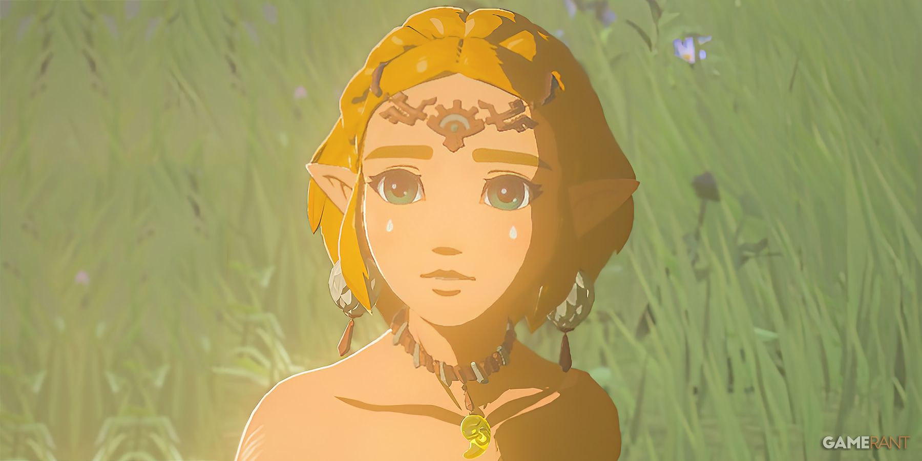 The Legend of Zelda Tears of the Kingdom TOTK Zelda looking sad close-up