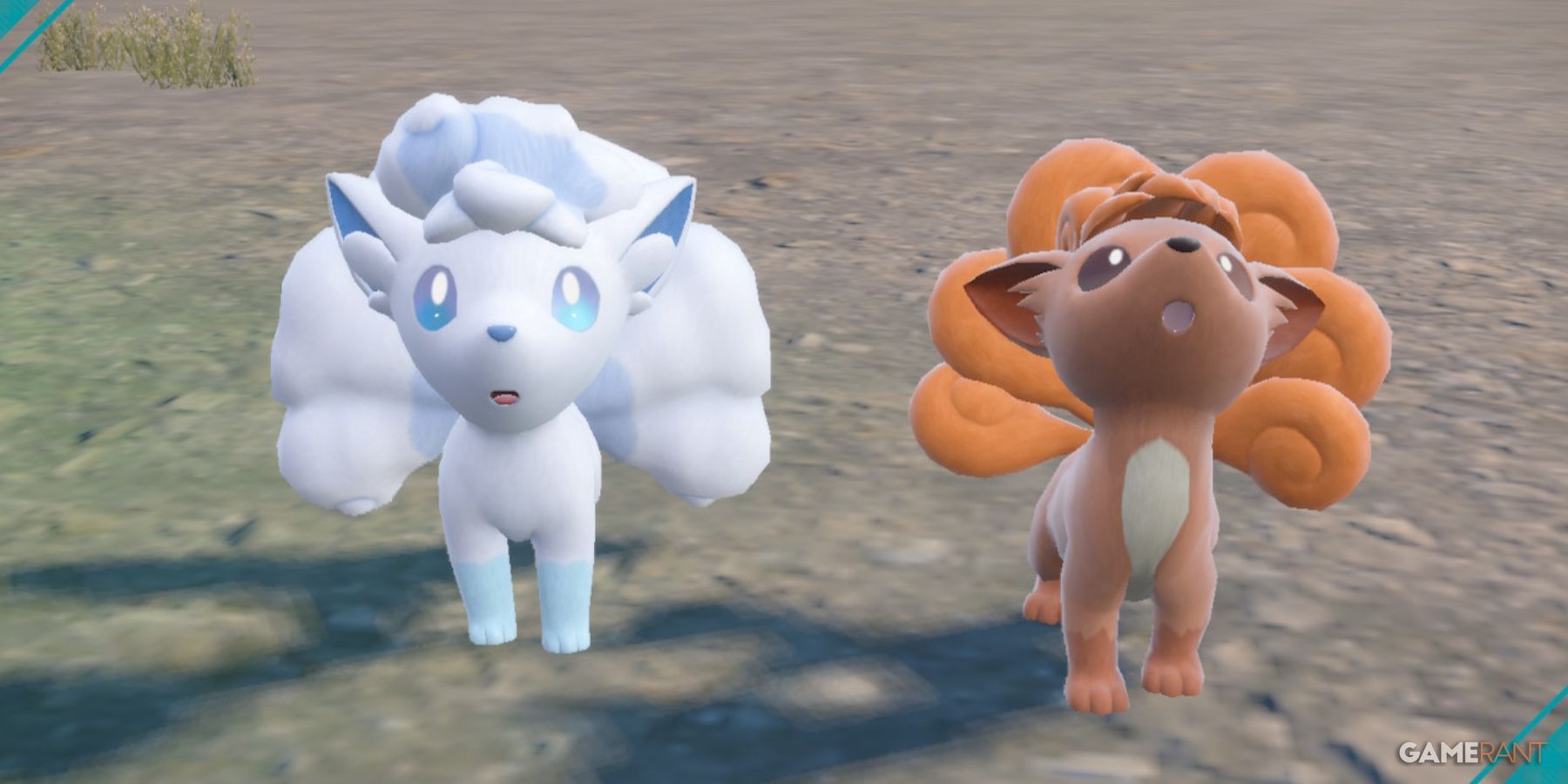 pokemon scarlet and violet alolan vulpix kantonian vulpix