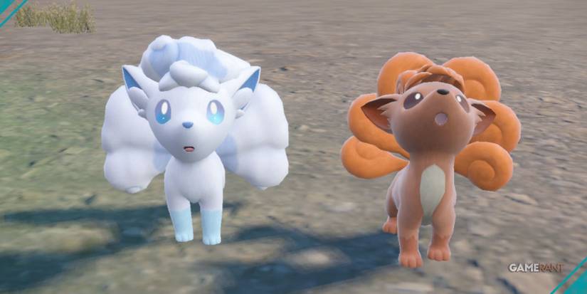Pokemon Scarlet & Violet: How to Get Alolan Vulpix
