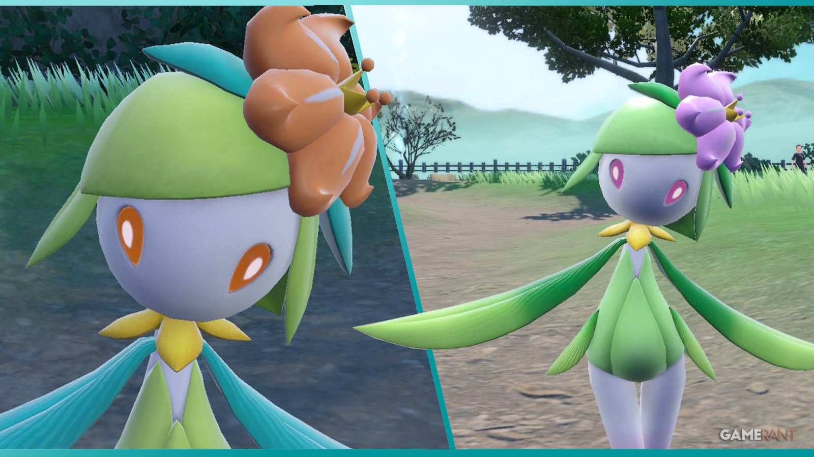 pokemon scarlet violet hisuian liligant feature