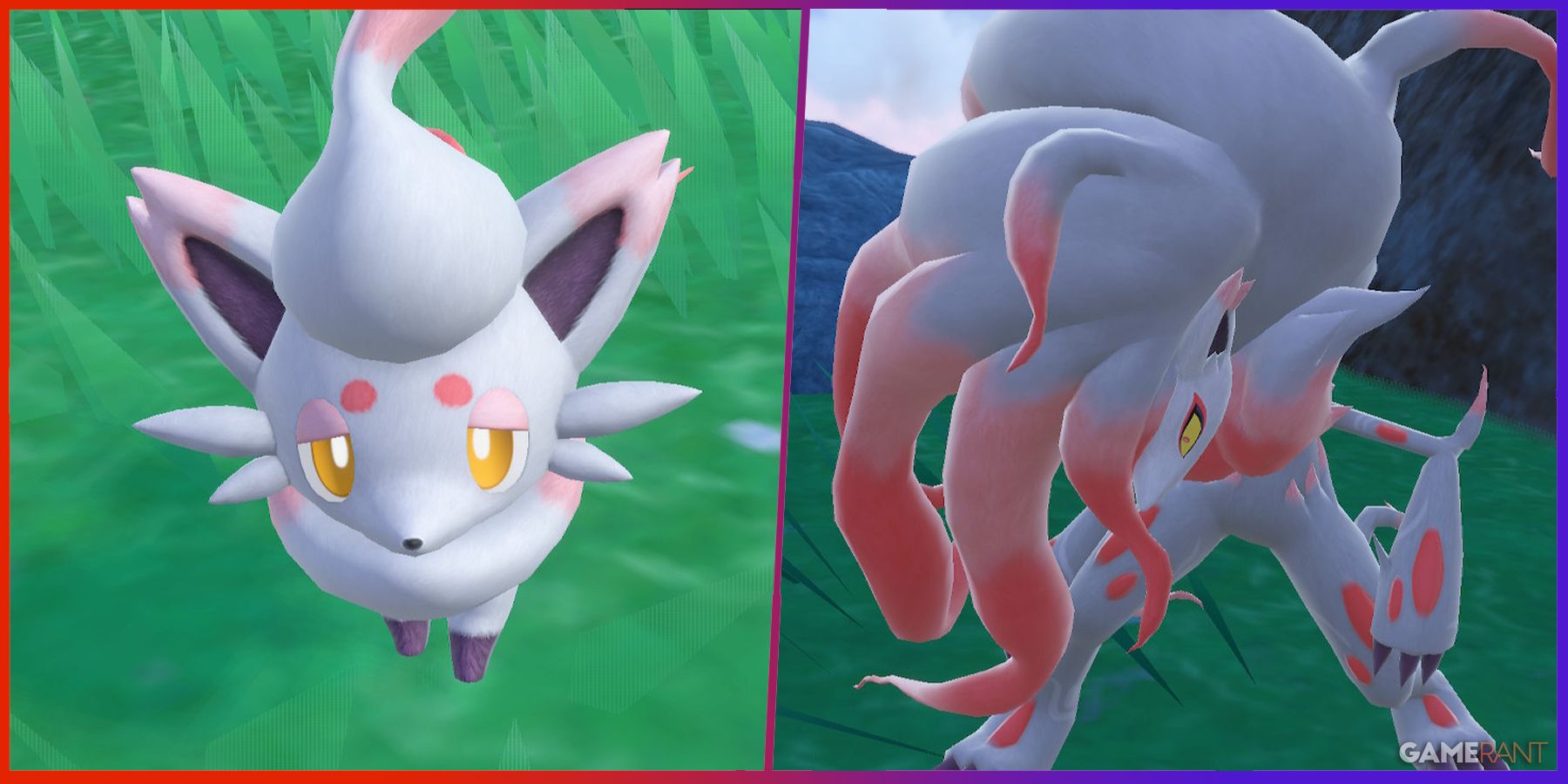 Como encontrar Ditto e Zorua em Pokémon Scarlet & Violet