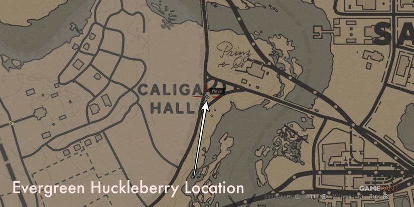 RDR2-Berries-Evergreen-Huckleberry-map-1