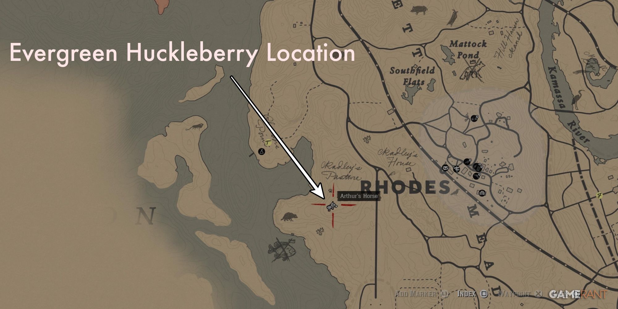 Red Dead Redemption 2 Where to Find All Berries