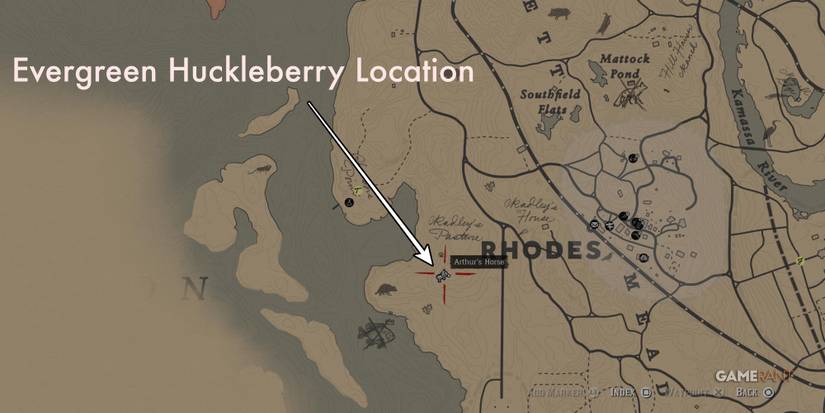 RDR2-Berries-Evergreen-Huckleberry-Map-2