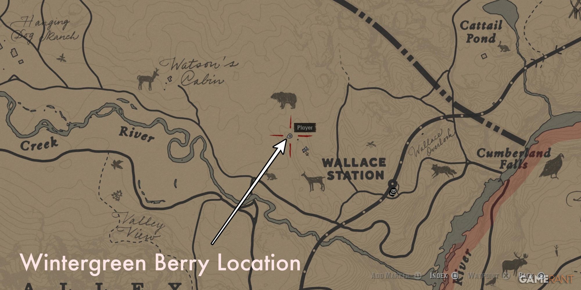 Discover the Locations of Every Berry in Red Dead Redemption 2