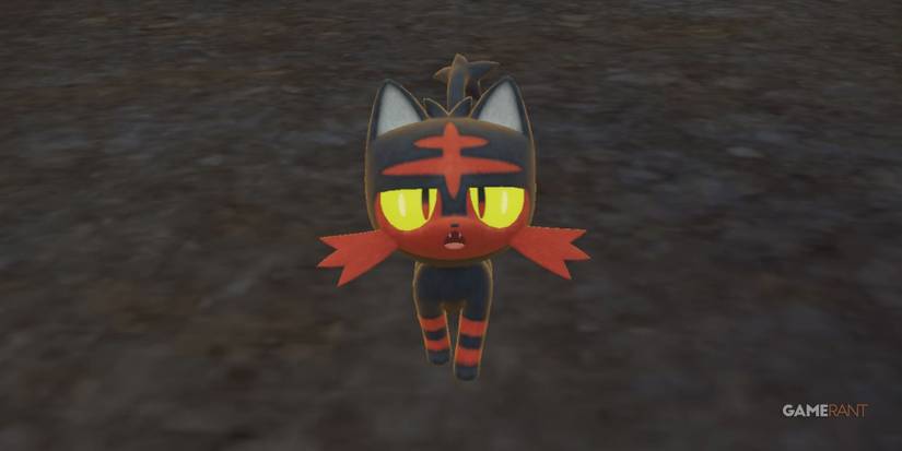 pokemon scarlet violet indigo disk litten