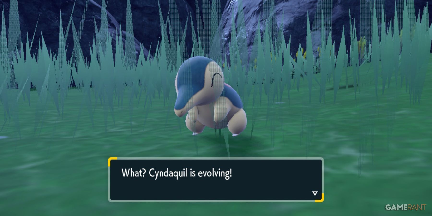 pokemon scarlet violet indigo disk cyndaquil evolving