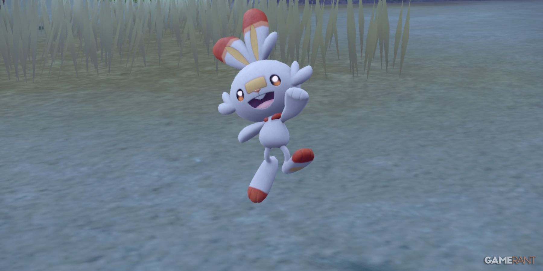 Scorbunny Location In Pokemon Scarlet And Violet 9493