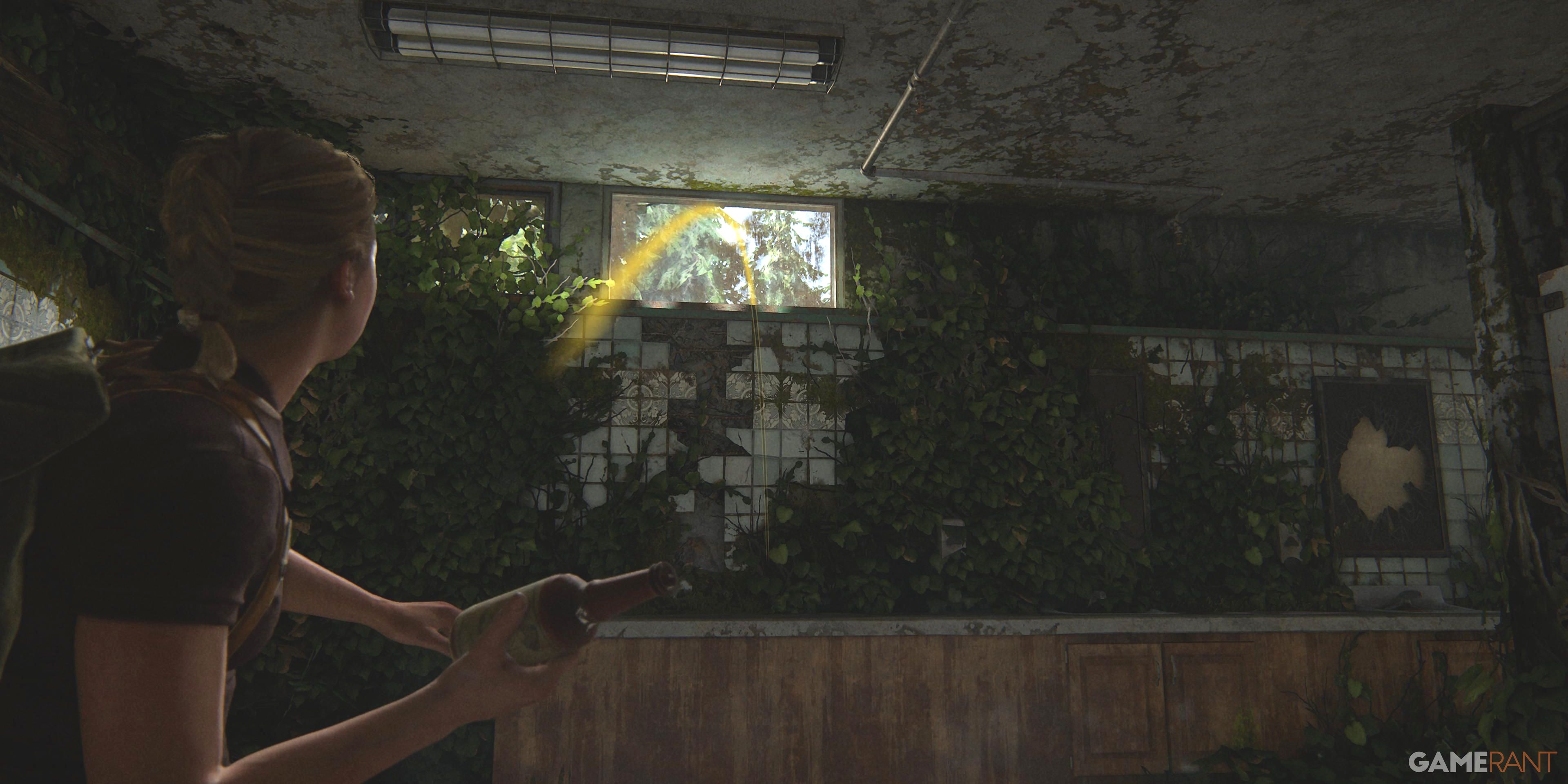 The Last of Us 2 Coin Locations: Where to Find State Quarters