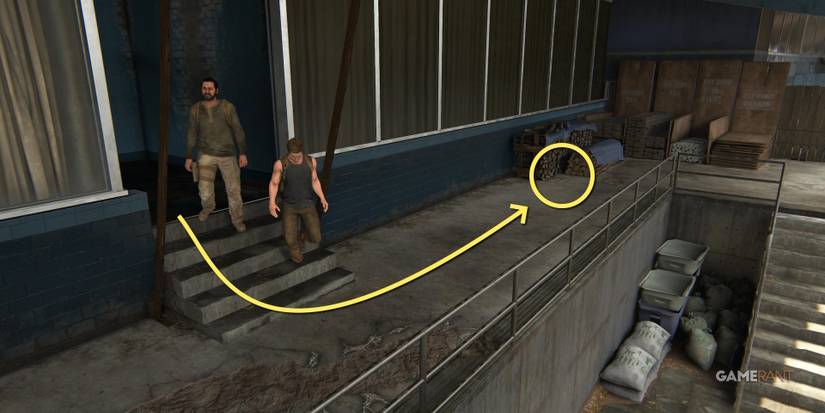 The Last of Us™ Part II the stadium alaska coin