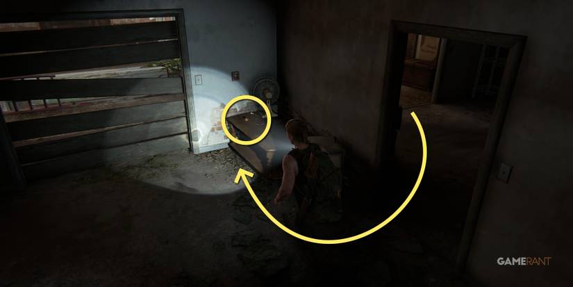 The Last of Us™ Part II artifact hostile territory strange relic