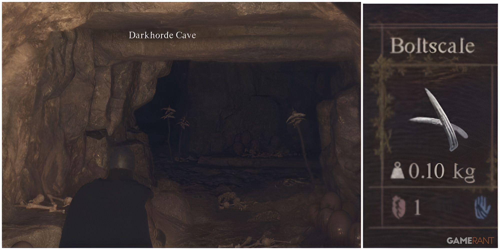 Getting Boltscales in Darkhorde Cave in DD2