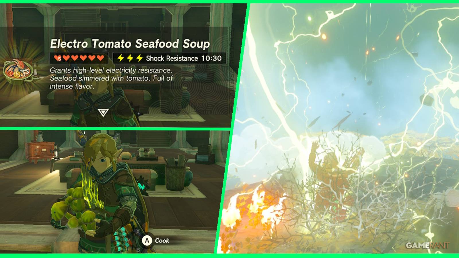 legend of zelda tears of the kingdom best recipes for shock resistance